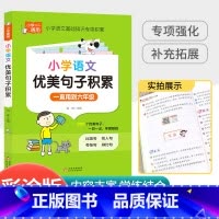 [小学通用]语文优美句子 小学通用 [正版]新版星选手记小学 语文 数学 英语 小升初毕业总复习知识大集结 归纳知识解读