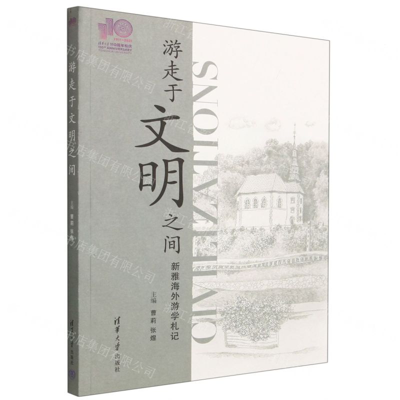 [N]游走于文明之间-9787302605379