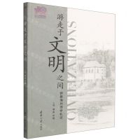 [N]游走于文明之间-9787302605379