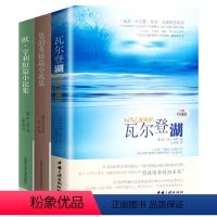 [正版]学校 世界名著全套3册 瓦尔登湖+莫泊桑短篇小说集+欧亨利短篇小说集 七年级阅读的课外书籍经典文学小说书排