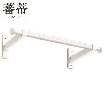 蕃蒂