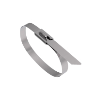 旋达304不锈钢自锁扎带 10*800mm/条