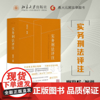 正版 实务刑法评注 喻海松 刑事辩护及学术 实务办案刑法工具书刑法适用答复指导性案例犯罪和刑事责任 北京大学出版社