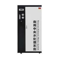 以雅以南 商用纯水机YYN-RO-800/台