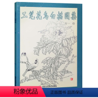 [正版]花鸟画 工笔花鸟白描图集 工笔白描入门 国画入门 白描入门 工笔白描画教程书 临摹 艺术绘画系列 北京工艺美术
