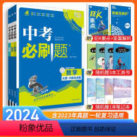 数物化 全国通用 [正版]2024新版中考必刷题数学物理化学真题诊断自查专题专练全国通用 中考真题专项训练复习资料初三九