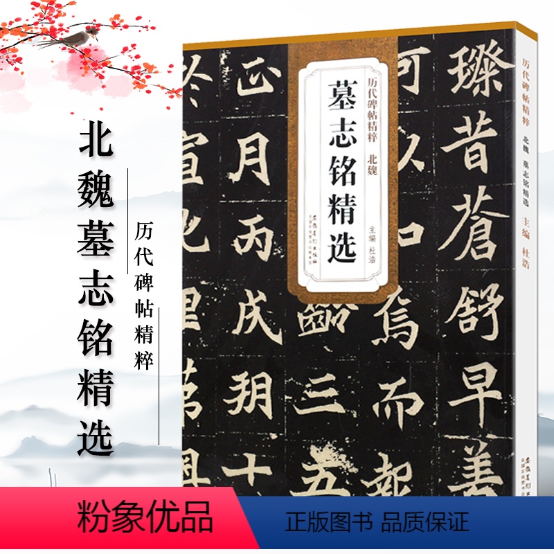 [正版]北魏墓志铭精选历代碑帖精粹杜浩元桢司马昞和妻孟敬训元显俊崔敬邕李壁张黑女张黑女毛笔书法练字帖安徽美术