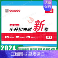 [语文]小升初冲刺新卷 小学通用 [正版]2025版小学知识大盘点语文数学英语小升初名校冲刺方案模拟考试真题精选试卷考卷