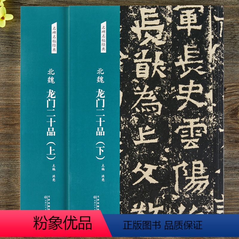 [正版]北魏龙门二十品(上下2册)名碑名帖经典8开彩色放大本毛笔书法临摹字帖简体旁注图书书籍魏碑字帖碑帖