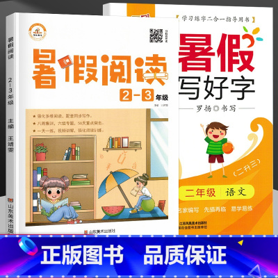 [正版]暑假阅读 写好字字帖描红二升三年级语文专项训练强化练习小学2升3年级暑期阅读练习题每日一练天天练假期课外兴趣阅
