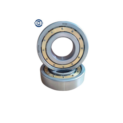 SKSM圆柱滚子轴承NJP2226