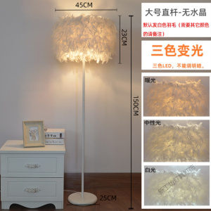 苏宁放心购 灯饰网红白色羽毛水晶立式落地灯客厅书房卧室床头台灯主播补光灯