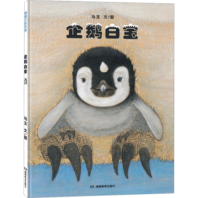 正版新书]企鹅白宝(在严寒中孕育温暖,在等待中守候希望)马玉
