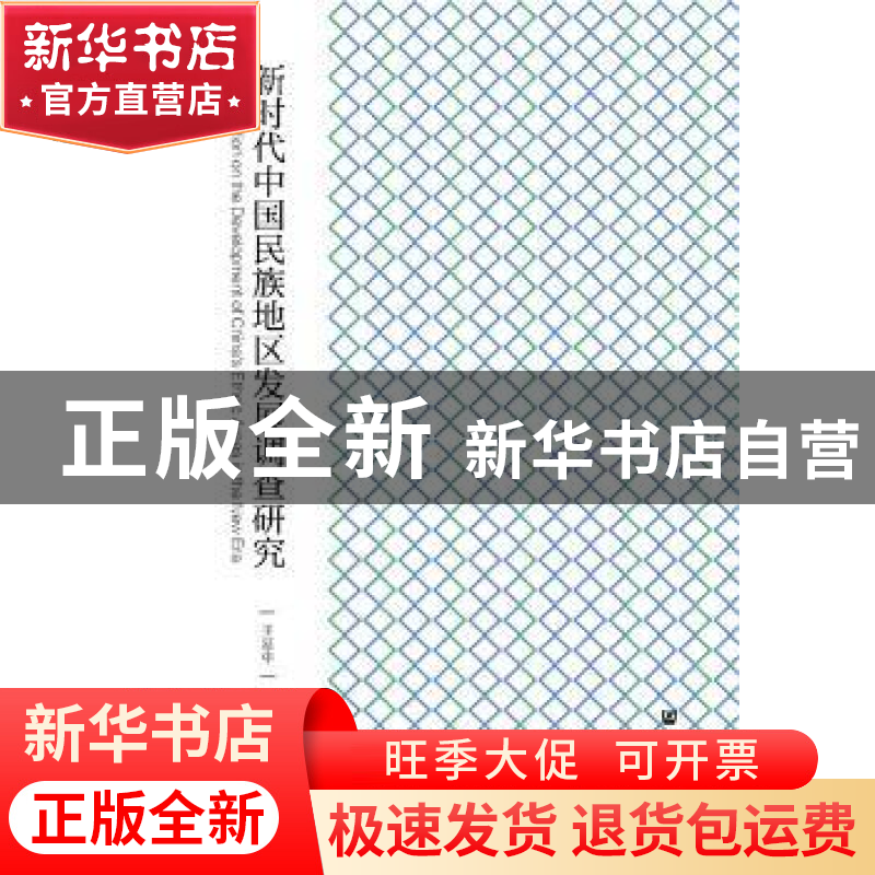 正版 新时代中国民族地区发展调查研究 王延中 社会科学文献出版