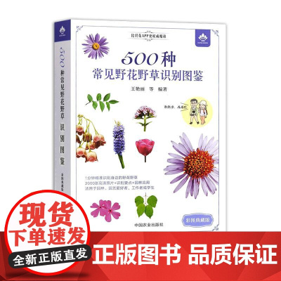 500种常见野花野草识别图鉴(彩图典藏版)