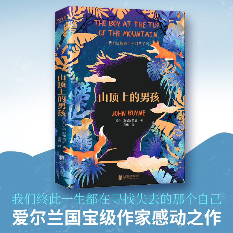 音像山顶上的男孩(爱尔兰)约翰·伯恩