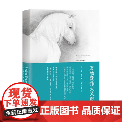 万物既伟大又渺小 吉米·哈利 著 文学