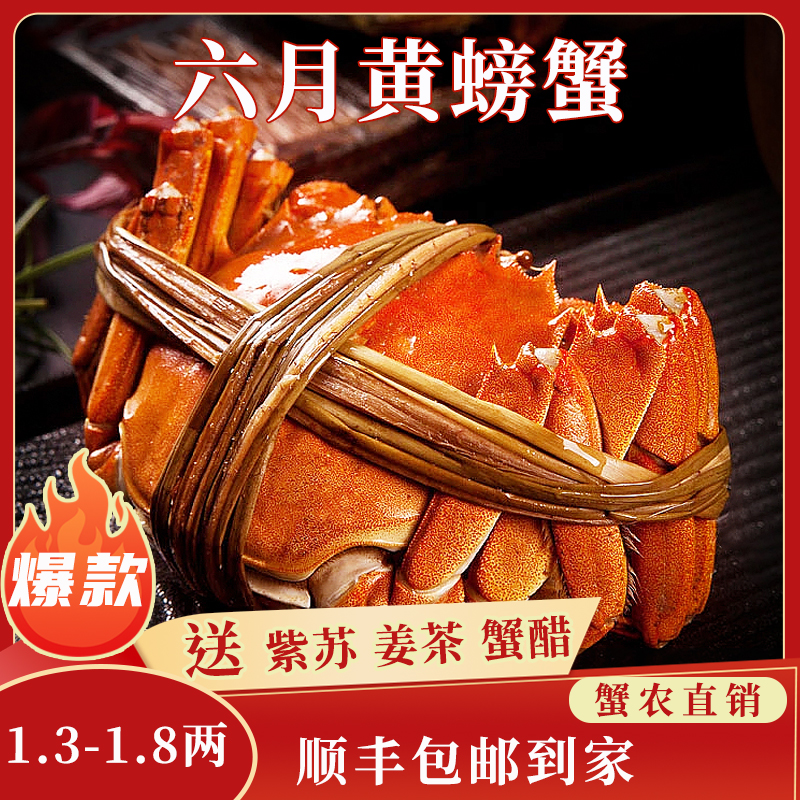 苏州大闸蟹蟹灵阁鲜活六月黄大闸蟹2两10只装公母随机大螃蟹鲜甜满黄直达到家死蟹包赔