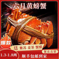 苏州大闸蟹蟹灵阁鲜活六月黄大闸蟹2两10只装公母随机大螃蟹鲜甜满黄直达到家死蟹包赔
