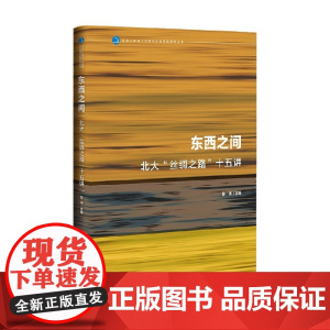 东西之间 昝涛 著 历史