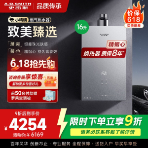 AO史密斯小体积16升精钢燃气热水器[小精钢EC5]静音 持久恒温 天然气 JSQ31-EC5