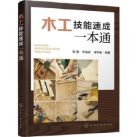 音像木工技能速成一本通张燕,宋魁彦,刘宇辰