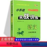 [正版]小升初实战训练语文基础训练篇68所名校小学六年级小升初重点学校语文命题大预测小学毕业升初中语文总复习练习加答案