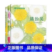 [3册]牵牛花+向日葵+蒲公英 [正版]一粒种子的旅行 小学生基础阅读书目 德国青少年科普 大 向京 自然 植