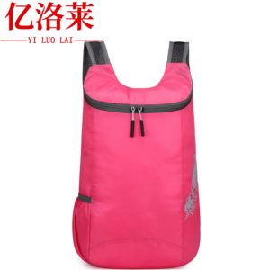 亿洛莱 背包 26*12*38cm 个