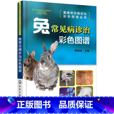 [正版]兔常见病诊治彩色图谱 养兔技术大全养殖技术书肉兔科学养殖书籍农业畜牧兽医专业圈养兔病预防与诊治野兔饲养养殖
