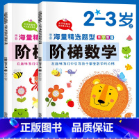 阶梯数学2-3岁 全2册 [正版]加厚2本装儿童阶梯数学2到3-4-5-6岁幼儿园宝宝中大班数学思维训练一二年级数学训练