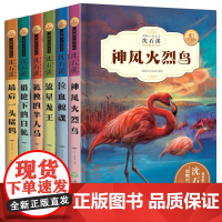 全套6册正版沈石溪动物小说全集中小学生8-10-12-15岁沈石溪系列儿童文学三四五年级课外书读六年级小学生课外阅读