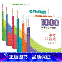 初中数学千题解 代数综合与圆 初中通用 [正版]初中数学千题解 中考压轴题+一次函数与四边形+二次函数与函数+全等与几何