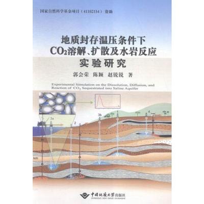 地质封存温压条件下CO2溶解.扩散及水岩反应实验研究书郭会荣自然科学书籍