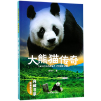 音像大熊猫传奇(影像青少版)/典藏书系刘先平