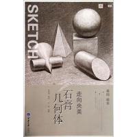 正版新书]石膏几何体严涛9787562481638