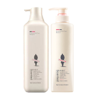 阿道夫 祛屑洗发水560ml+青春记忆沐浴露520ml+赠2中样6小样(赠品香型随机发)(NM)