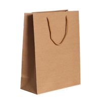 百晟长恒BSCH-A60E 25x33x11cm 牛皮纸文件袋 牛皮色 (计价单位:个)