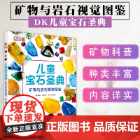 DK儿童宝石圣典 矿物与岩石图鉴 揭秘宝石图片集 6-12-15周岁儿童地理质科普百科大全书 自然矿物珠宝鉴赏图集