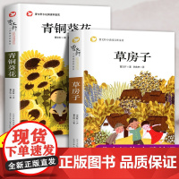 青铜葵花正版曹草房子四年级阅读课外书儿童文学获奖作品原著完整版课外阅读书籍老师小学生必读经典儿童文学书目
