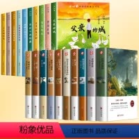 冰心奖获奖10册+十大世界名著 [正版]礼盒装冰心奖获奖作家精品书系全套10册小学生三四五六年级必读课外书老师阅读经典书