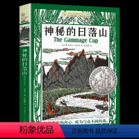 神秘的日落山 [正版]央视网长青藤国际大奖小说书系 神秘的日落山 儿童文学故事书9-10-14岁四五六年级课阅读 小学生