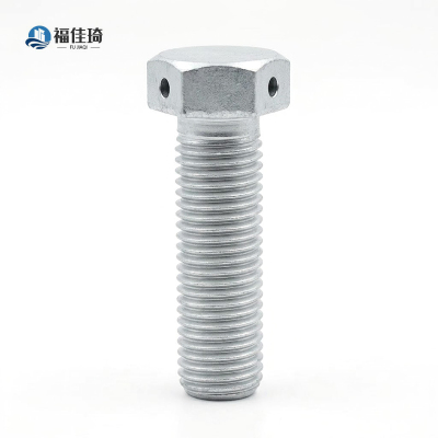 福佳琦 六角头部带孔螺栓 M22*70/个