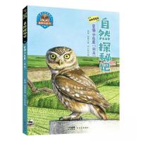 正版新书]自然探秘记:草原小鸟是“公马”钟嘉 袁屏/著 李小东