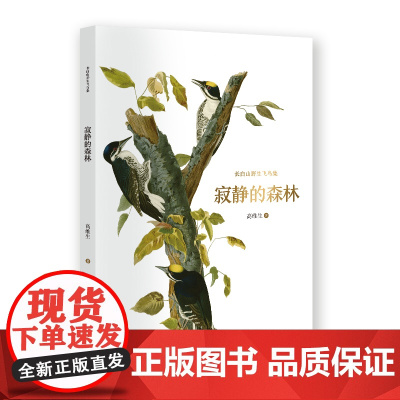 长白山飞鸟集 寂静的森林