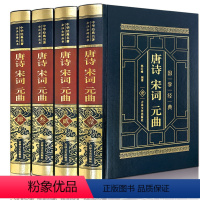 [正版]皮面烫金《唐诗宋词元曲》 中国古诗词鉴赏全诗经大全集 中华诗词大会鉴赏辞典 三百首诗经仓央嘉措纳兰词古文观止书