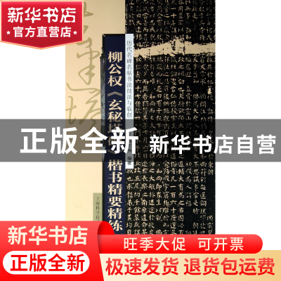 正版 柳公权玄秘塔碑楷书精要精练/历代名碑名帖书法技法与临创