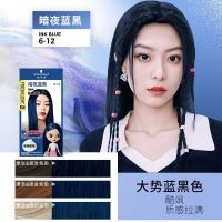 施华蔻泡泡染发剂染发膏2025流行色自己在家染氨基酸泡沫染发霜110ml暗夜蓝黑