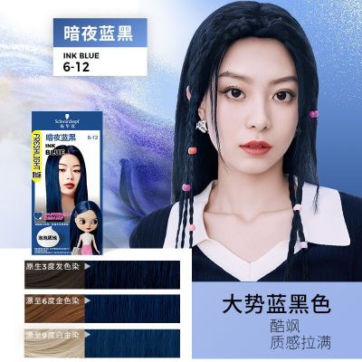 施华蔻泡泡染发剂染发膏2025流行色自己在家染氨基酸泡沫染发霜110ml暗夜蓝黑