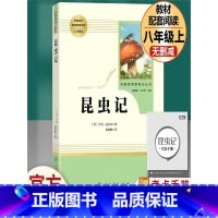 [8年级上]昆虫记 [正版]昆虫记法布尔原著人教版八年级上册必读课外阅读书籍 初中生经典名著红星照耀中国全集完整版人民教